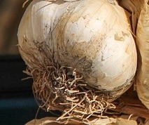 염증에 좋은 음식