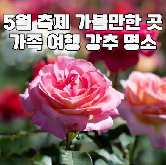 5월 축제 가볼만한 곳 가족 여행 강추 명소