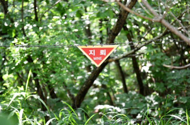 DMZ 펀치볼 둘레길