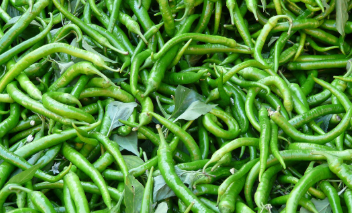 양파장아찌 만들기