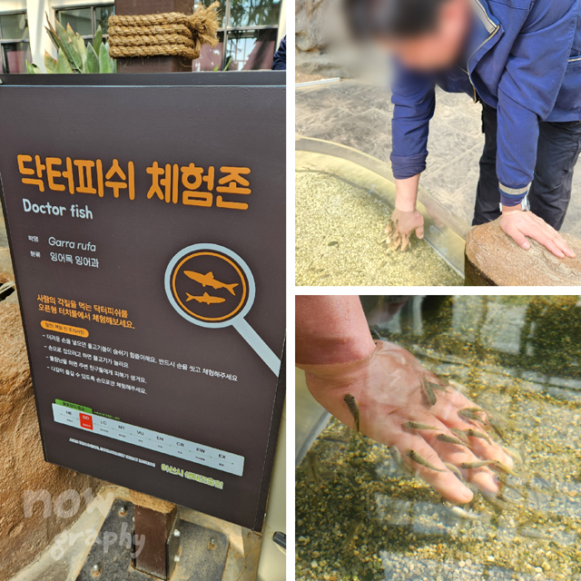 아산시-생태곤충원