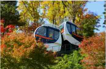 화담숲 모노레일 예약 3분 완벽 가이드