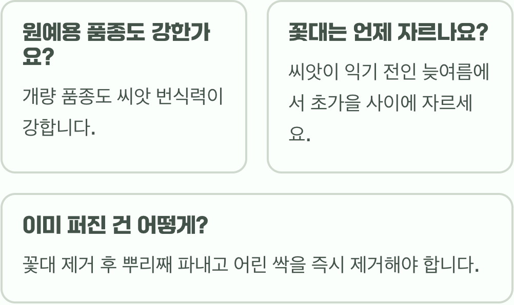 한번 심으면 잡초처럼? 수크렁의 무서운 번식력과 관리법