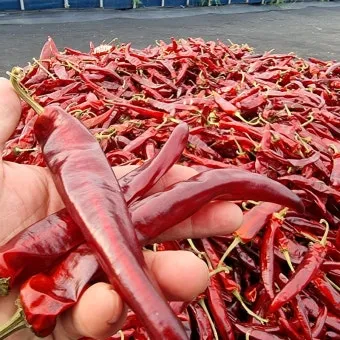 영양 고추 가격 시세 10근가격 현재 농산물 시세_3