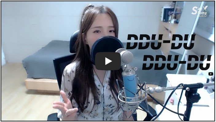 노래 커버 유튜버 순위 TOP 10 9