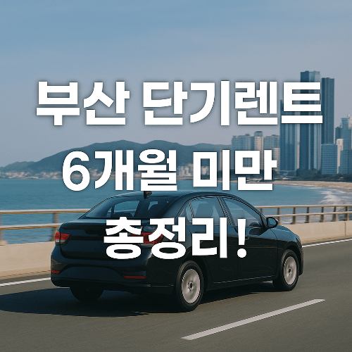 6개월 미만 단기 렌트·월렌트 추천|부산 기준 비용·업체 총정리