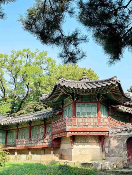 창덕궁