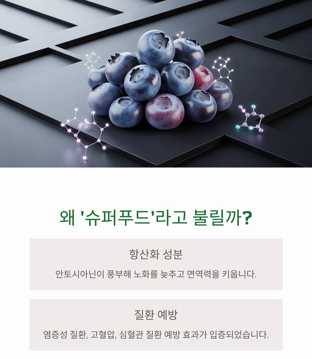 블루베리 효능, 시니어가 꼭 먹어야 하는 이유