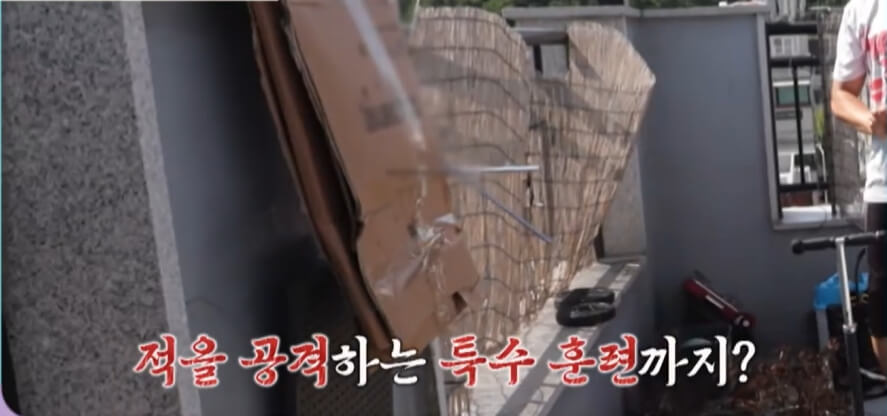 요즘-육아-금쪽같은-내새끼-211회