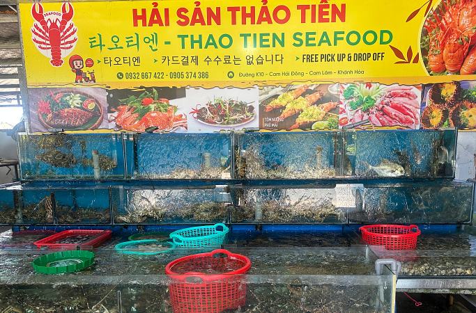 깜란-타오티엔-후기