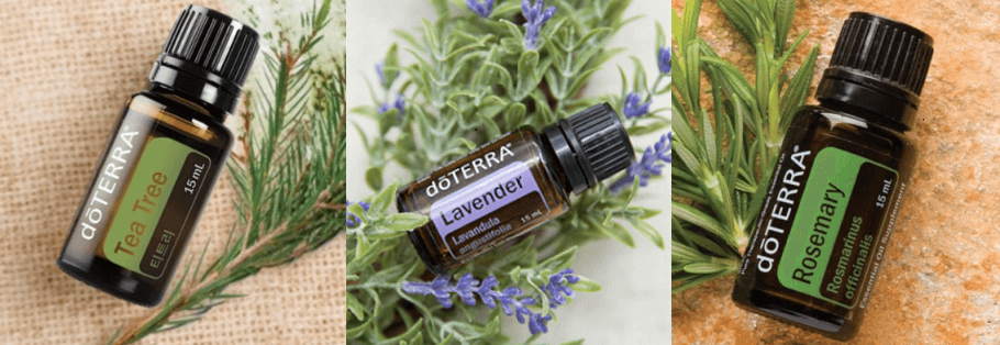 티트리&#44; 라벤더&#44; 로즈마리