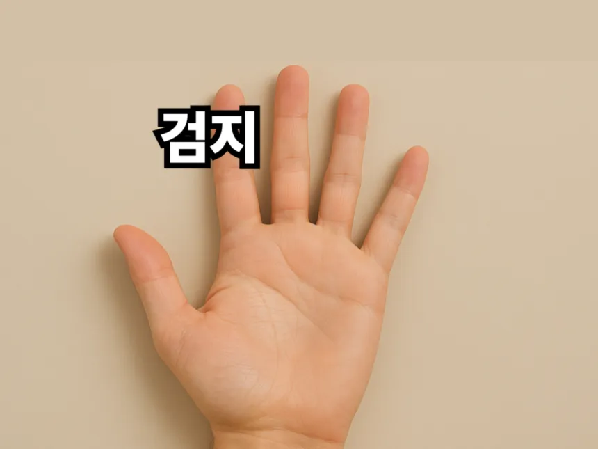 손가락 이름