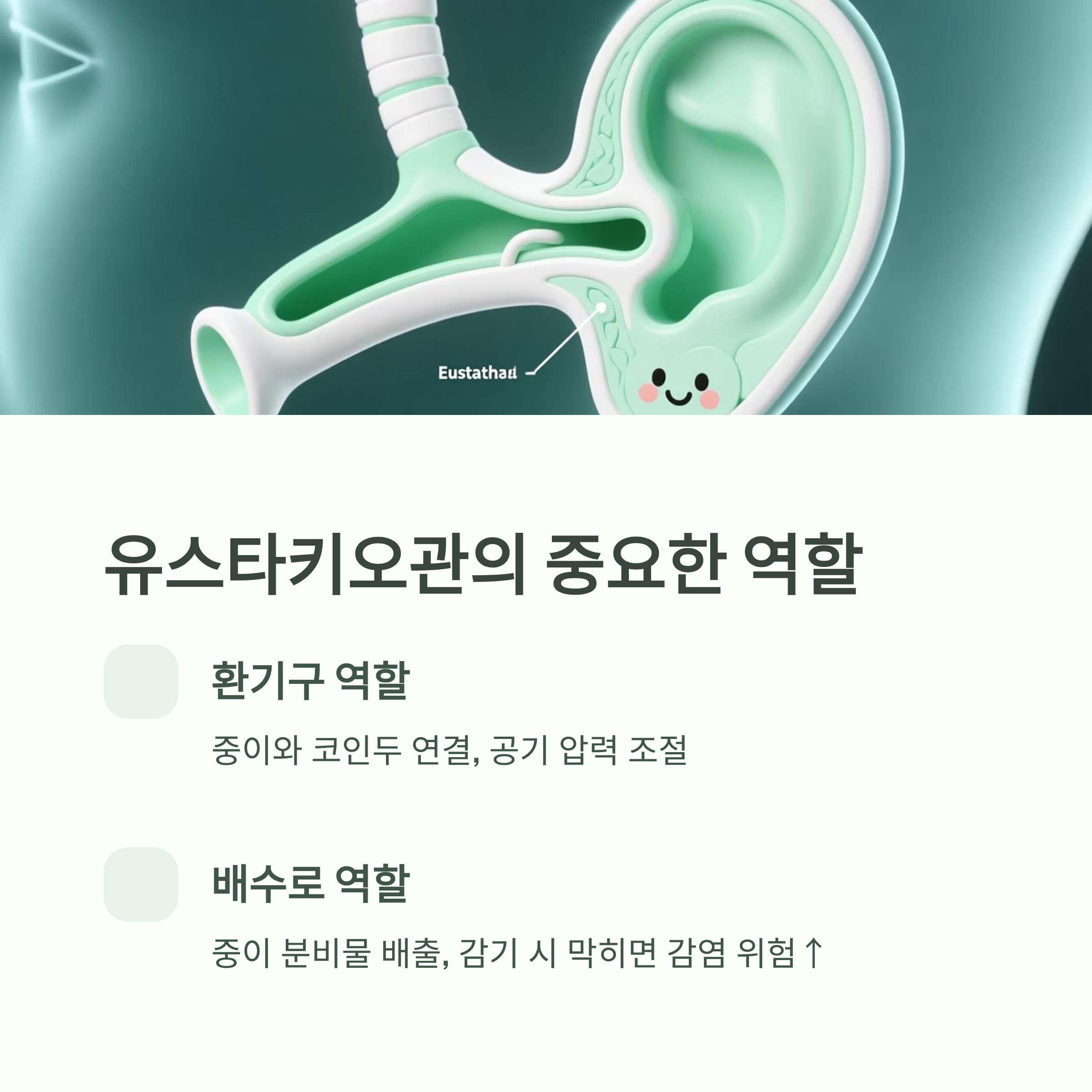 유스타키오관 구조 그림, 환기와 배수 역할 설명 인포그래픽