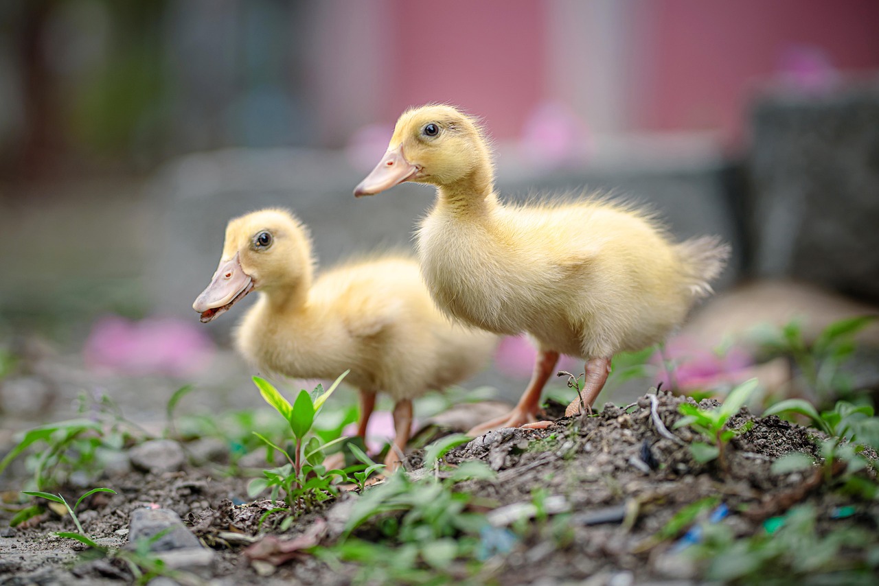 중도상환수수료 계산법