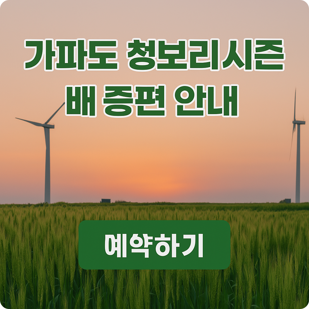 가파도 배편 예약하기