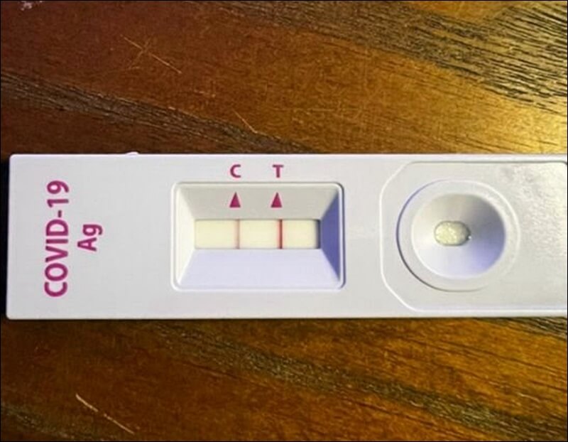 코로나 자가진단 키트 양성