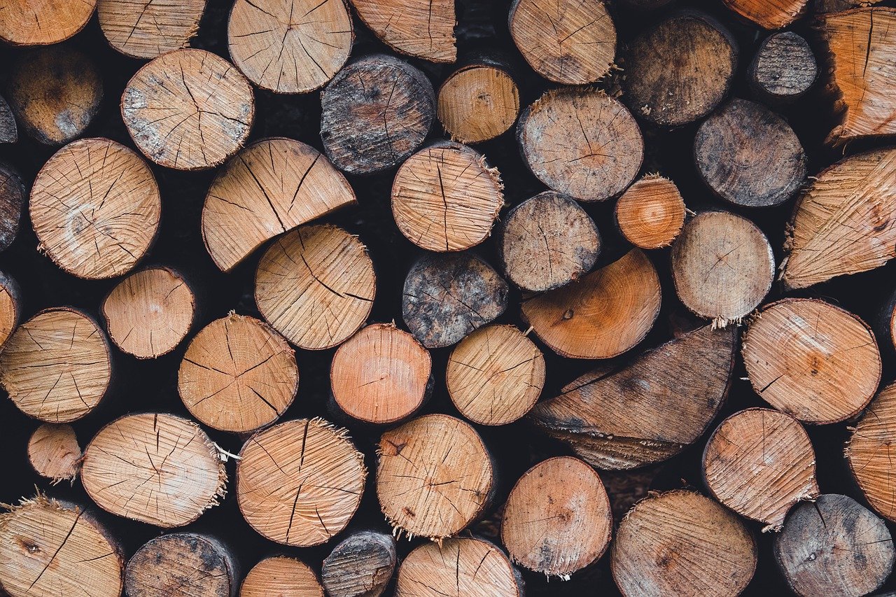 임업직불금 단가