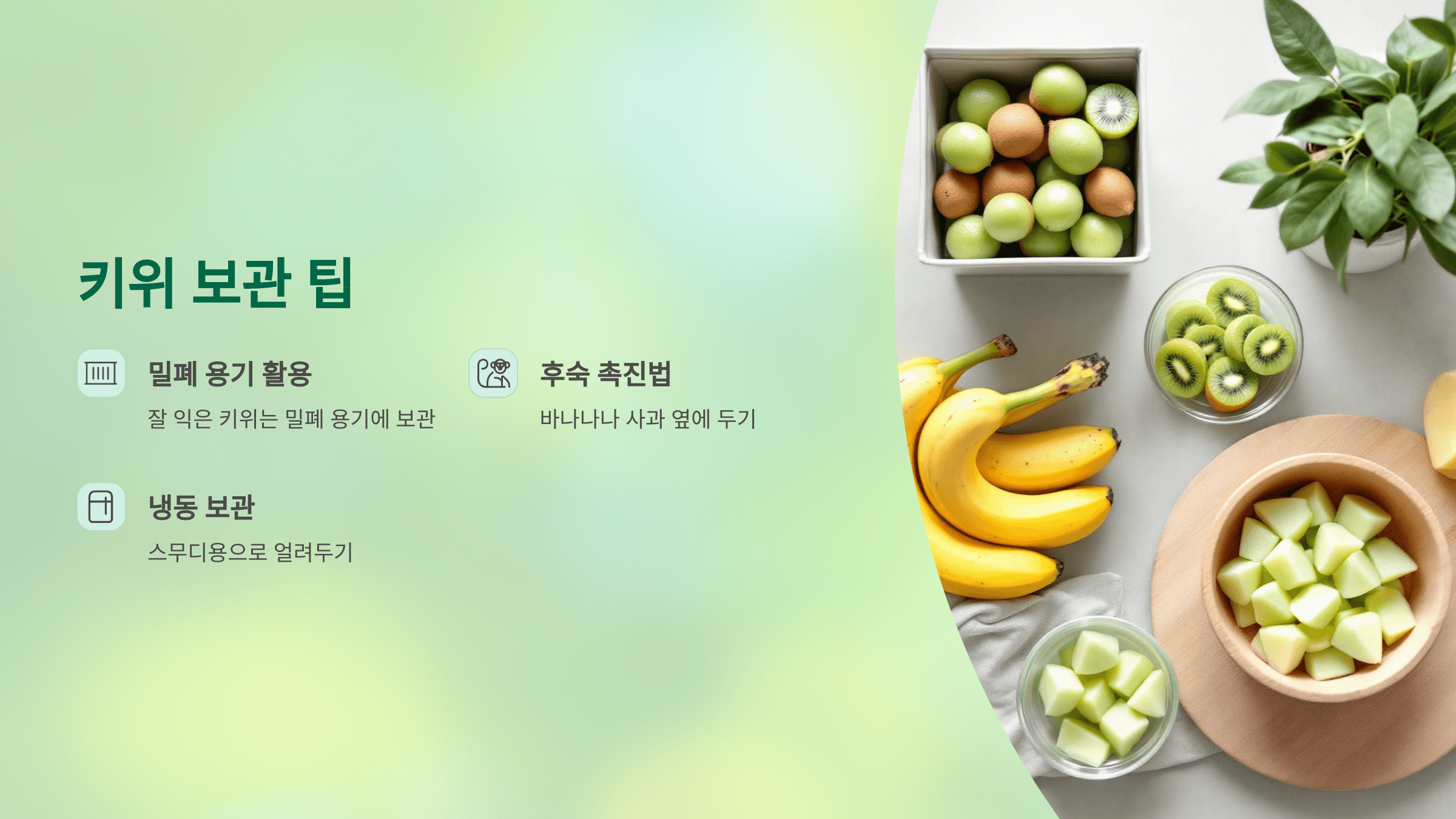 키위 사진입니다.