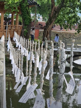 생생정보 믿고 떠나는 스타의 고장 가수 박남정 경남 함안 여행 코스 함안낙화놀이 무진정 식당 탐밀 카페두루고 함주공원