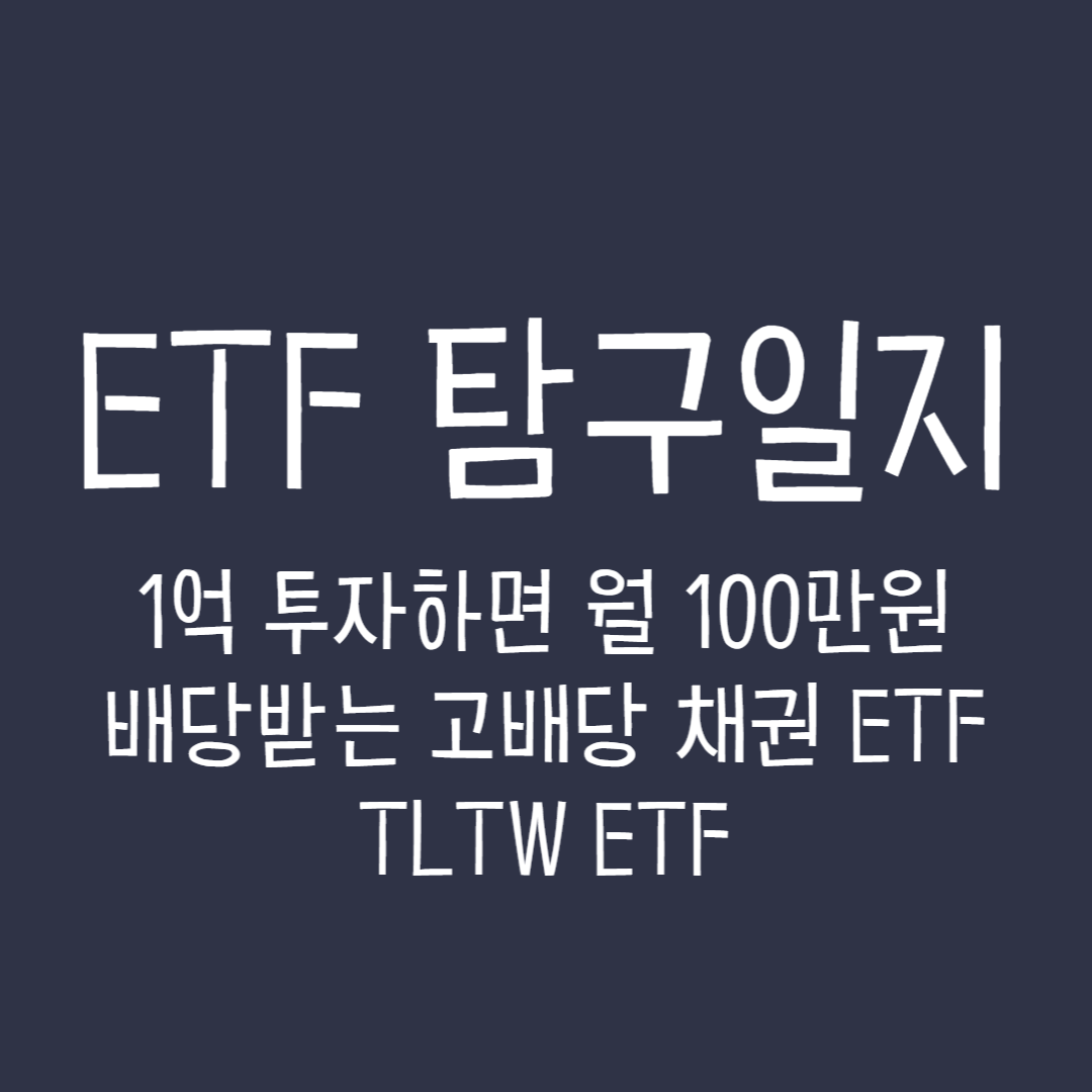 ETF 탐구일지 - TLTW ETF