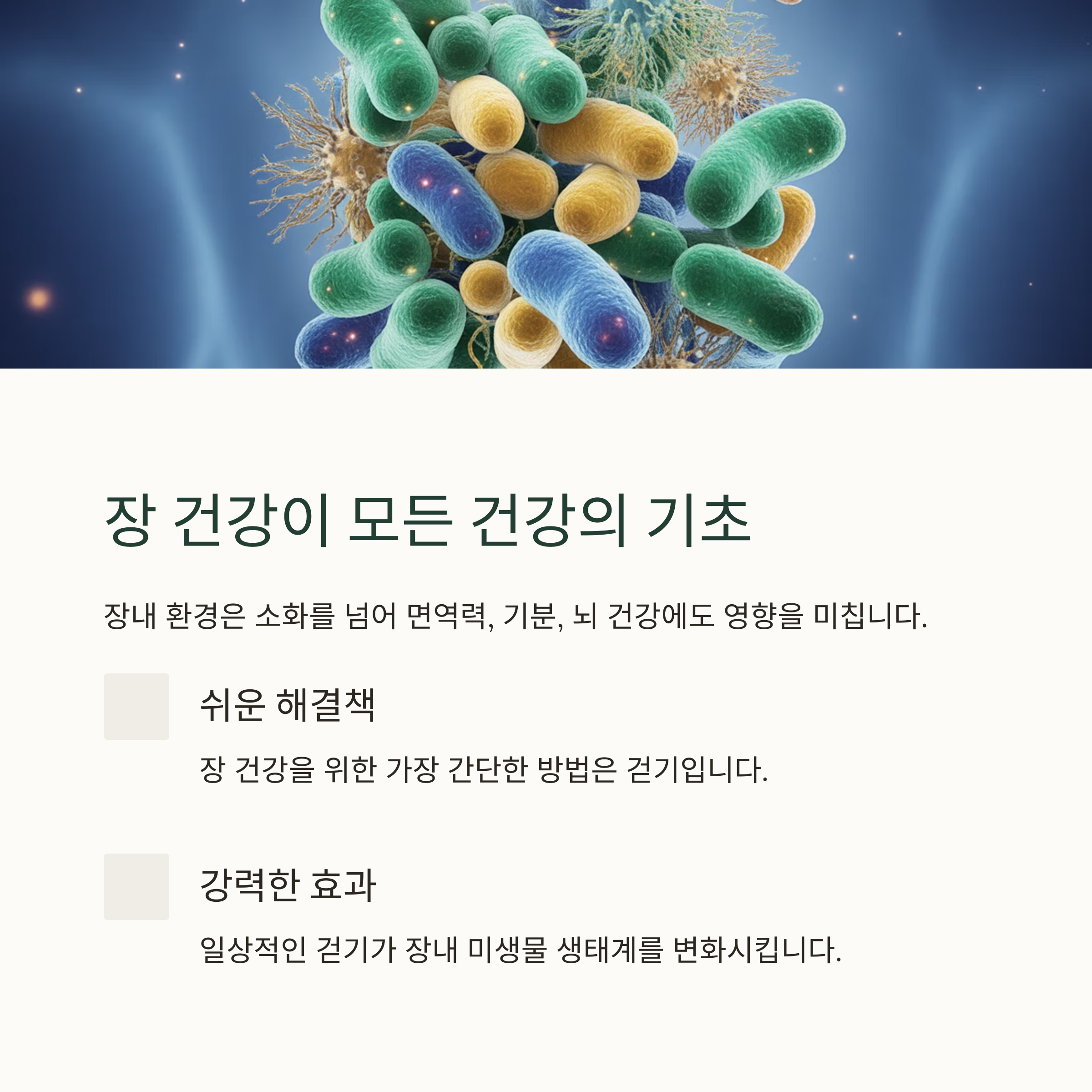 장 건강, 왜 그렇게 중요할까요? 관련 사진