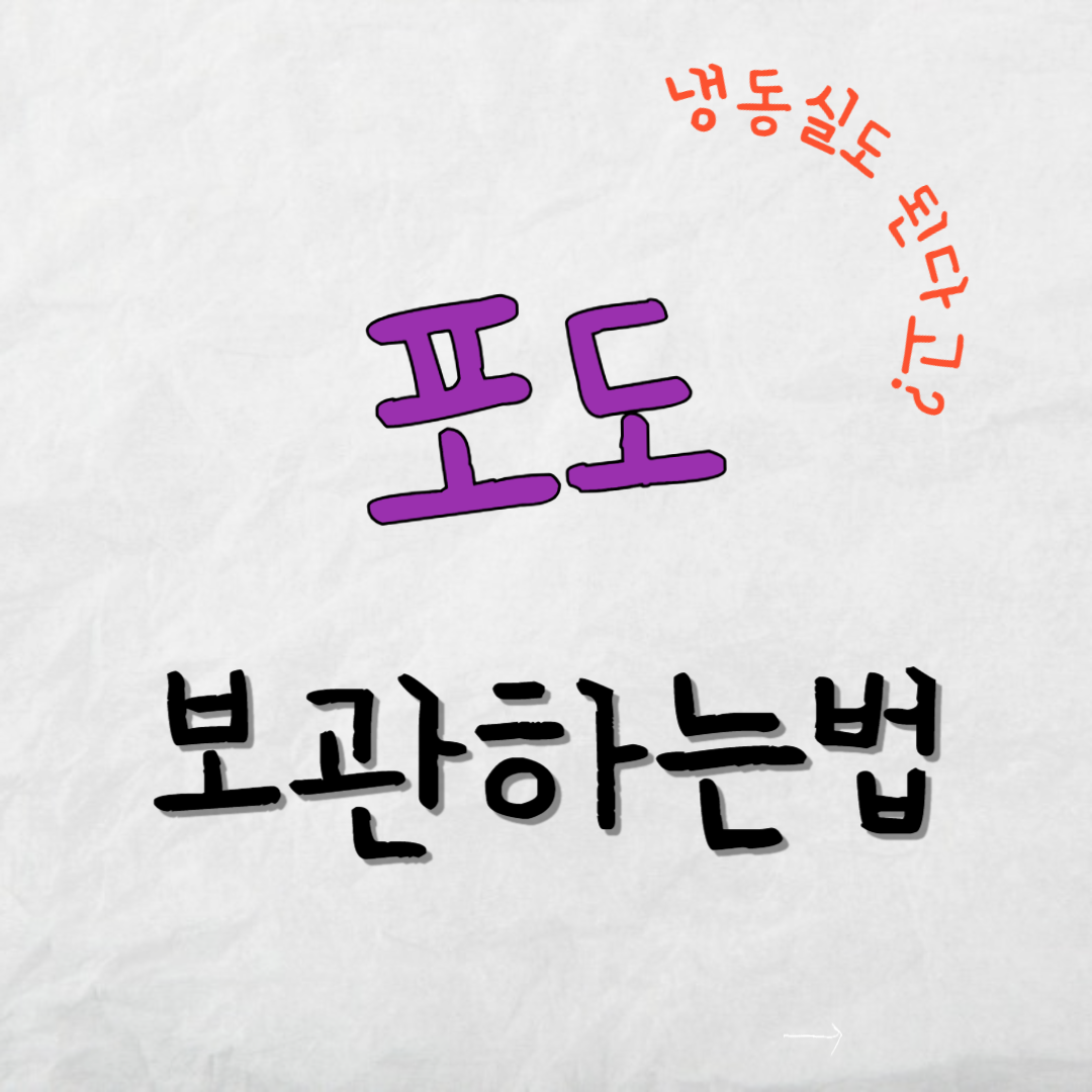 포도-보관하는법