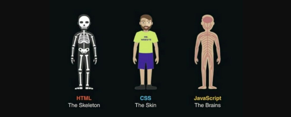 해골-살갗-브레인