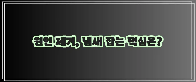 곰팡이 냄새 없애는 방법 확실하게 알아보자!