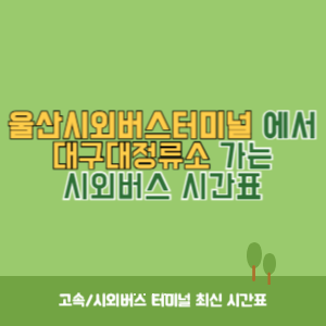 울산시외버스터미널에서 대구대정류소 가는 시외버스 시간표 최신정보