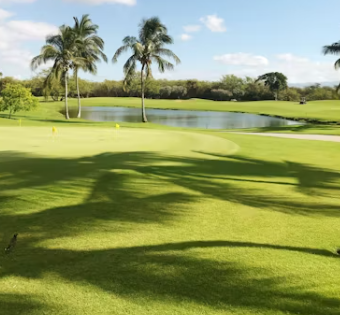 골프회원권 시세 거래소 시세표