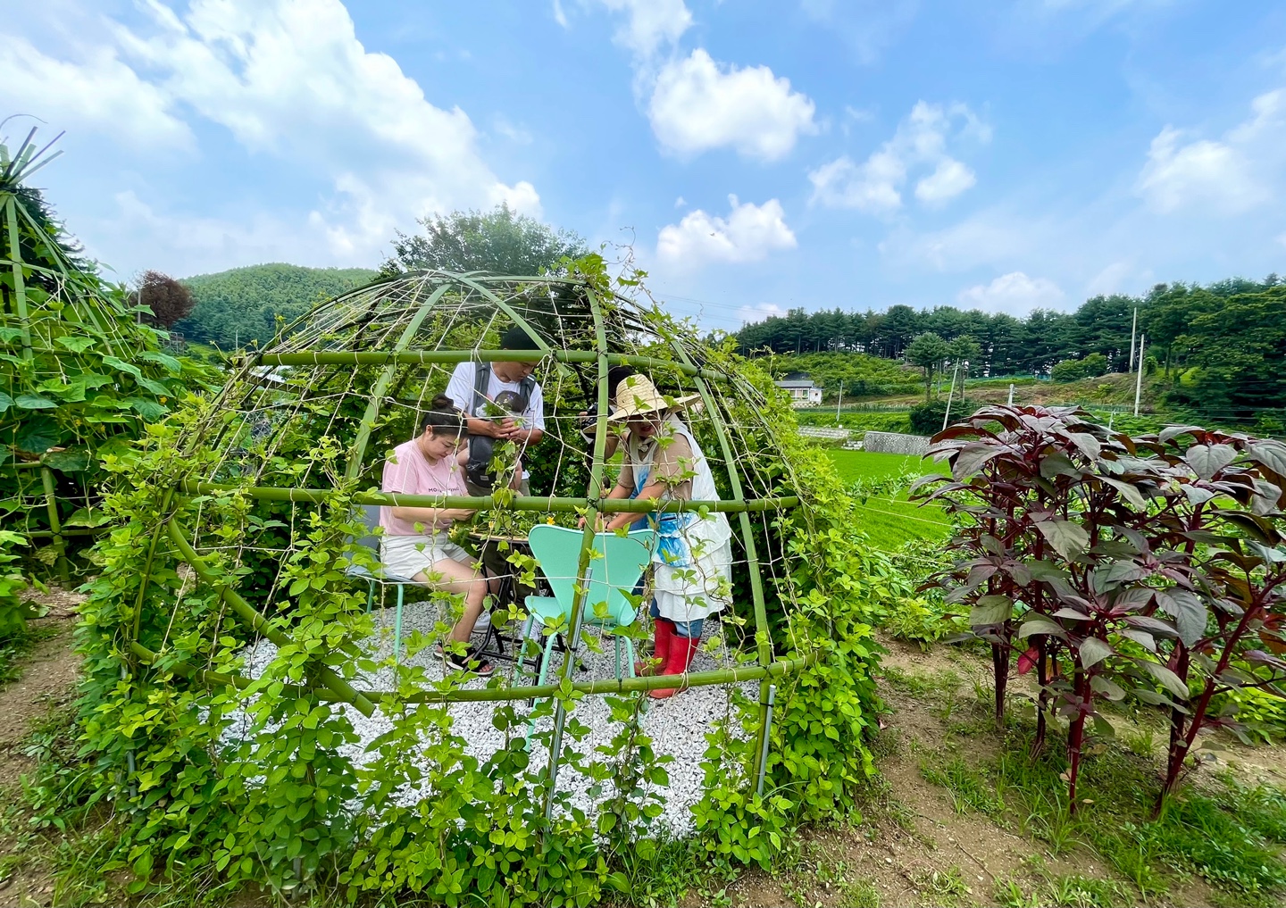 억새꽃 축제, 자연치유 체험, 보트 타기 여행 포천 산정호수 가볼만한 곳 추천 생방송투데이 리얼맛집 오늘방송 보고 먹고 즐기고! 3GO