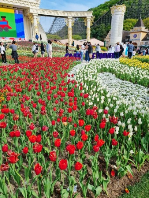 에버랜드 튤립축제