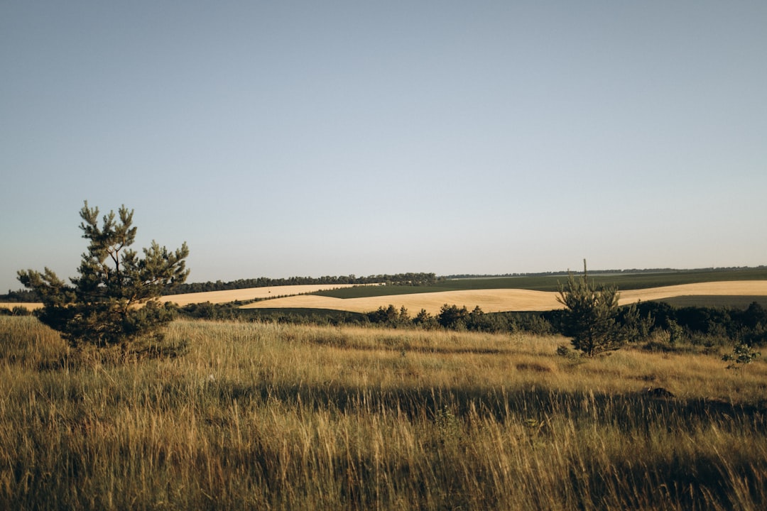 Land Registry