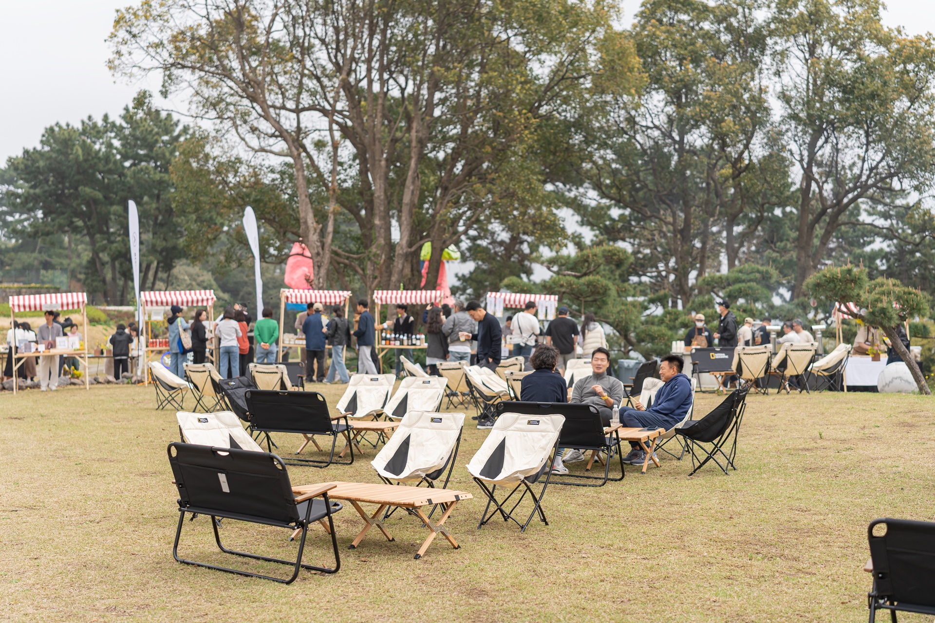 #JW가든 #JW메리어트제주 #댄싱두루미 #더플라잉호그 #아일랜드키친 #유채꽃 #제주사진 #제주여행 #제주유채꽃 #제주호텔