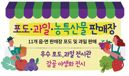 영동 포도축제 2024