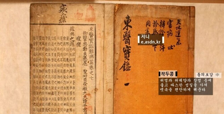 작두콩 효능 7가지와 부작용 총정리