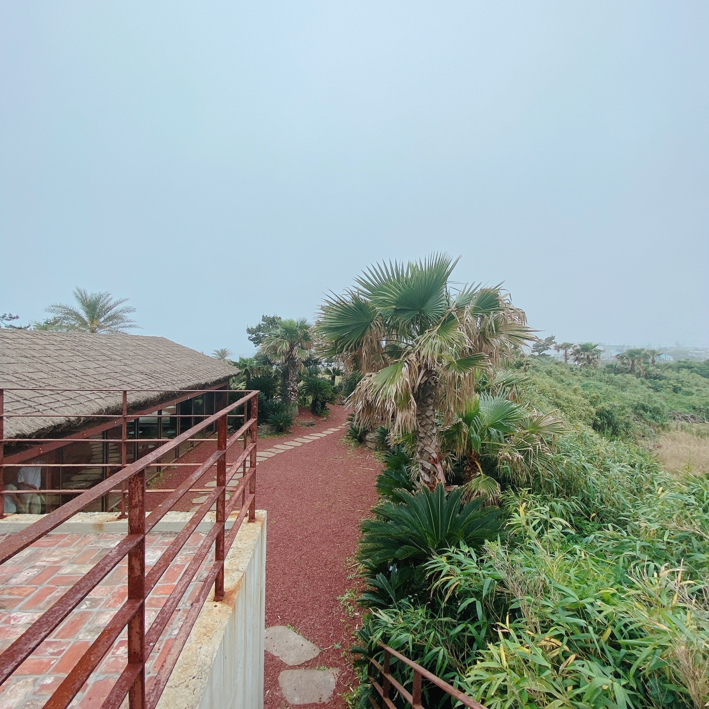 제주 서귀포 대정 서림연대 인스밀 곡물창고 개조카페 in's mill 보리개역 보리 청보리 제주 특산물