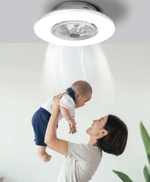 서큐라이트 추천 제품 LIST 4