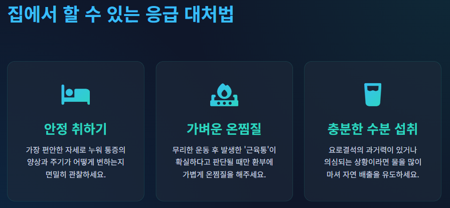 왼쪽 옆구리 통증 의심되는병
