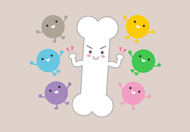 여러가지-영양소