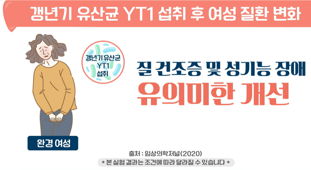 갱년기 유산균 YT1 효능
