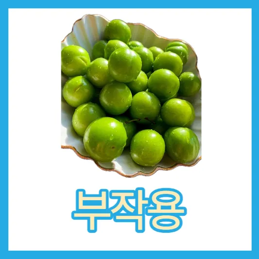 개복숭아 부작용