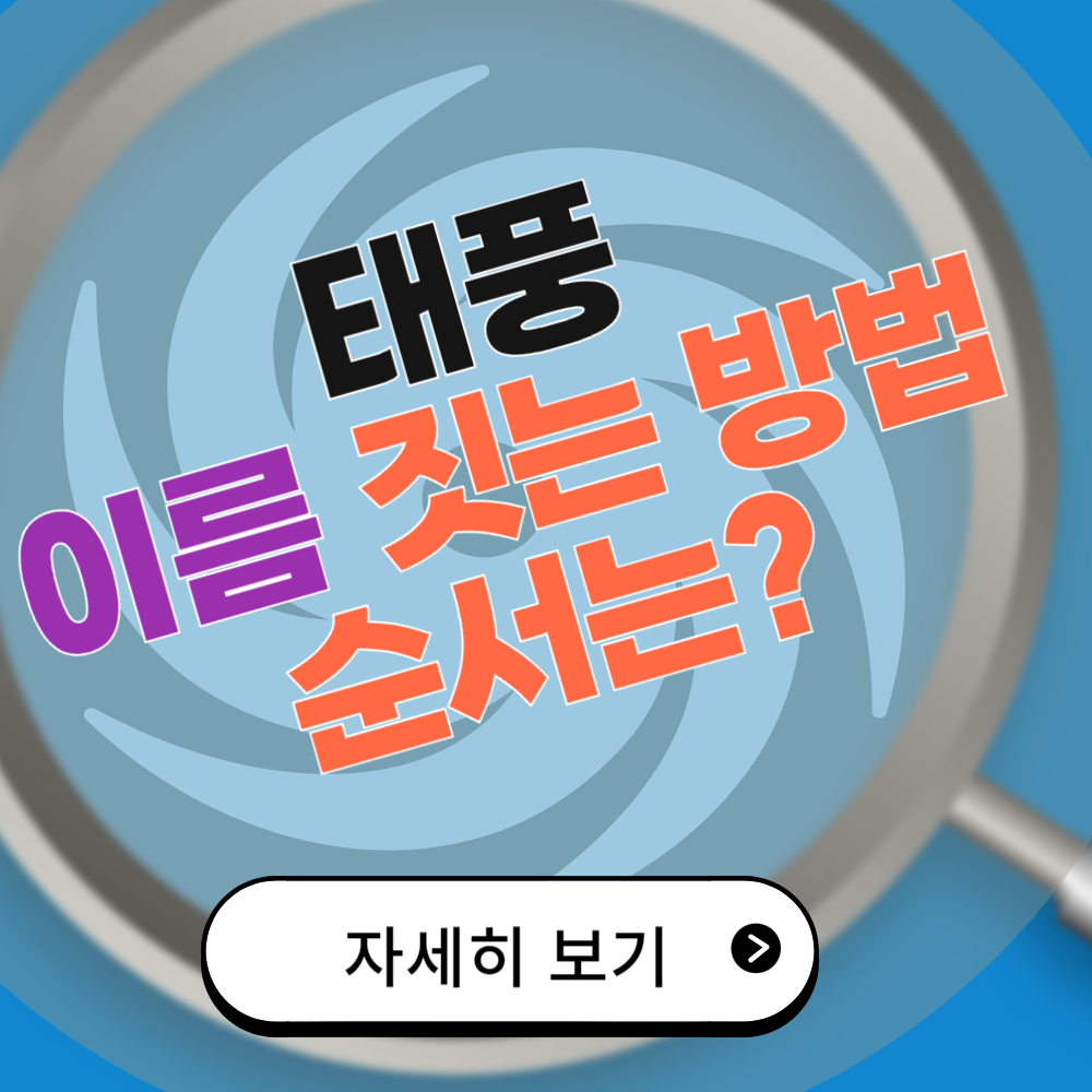 2024년 태풍 이름 짓는 방법과 순서