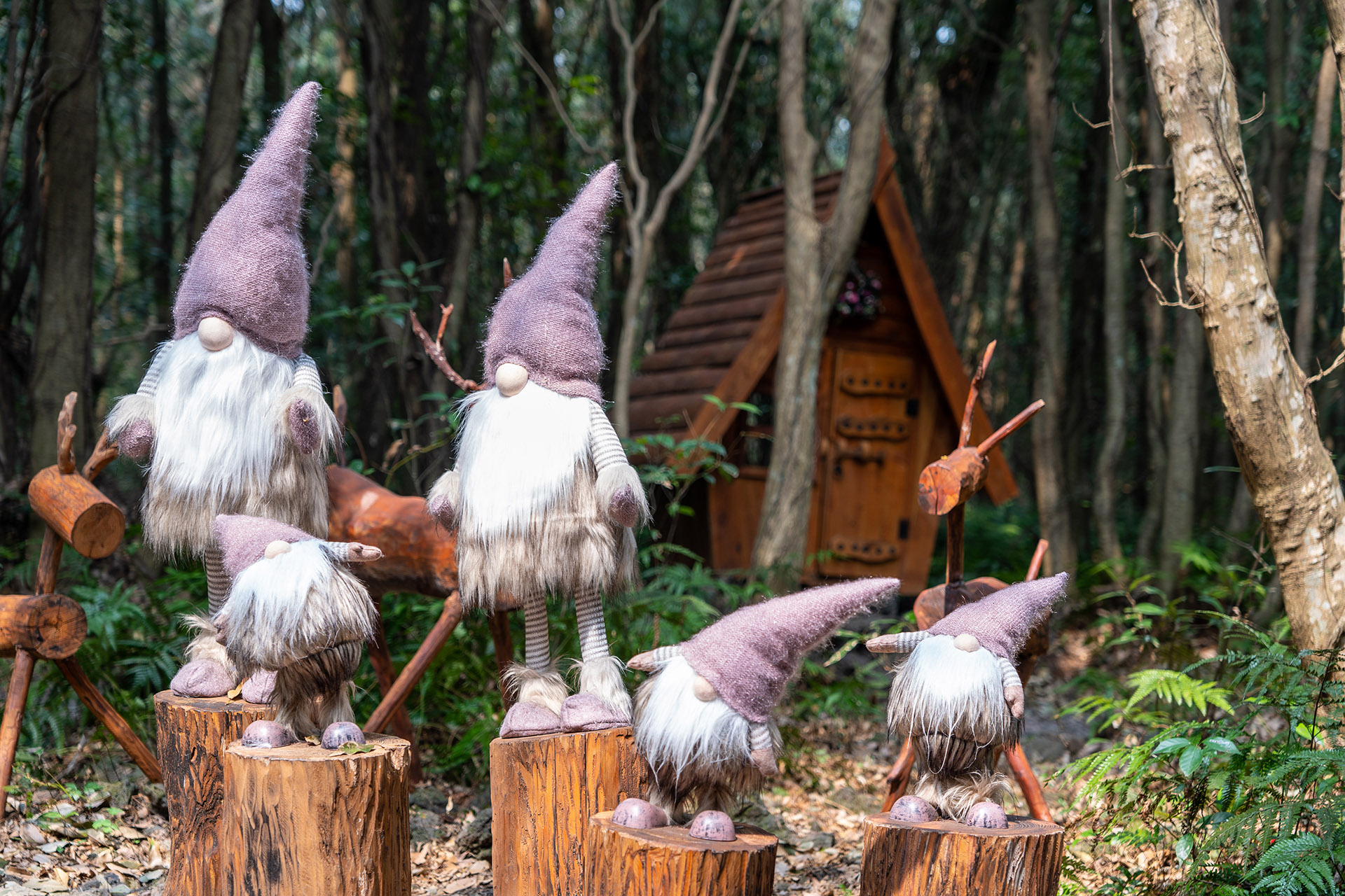 산양큰엉곶(산양곶자왈) 달구지길 난쟁이 집
