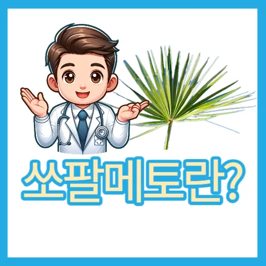 쏘팔메토란