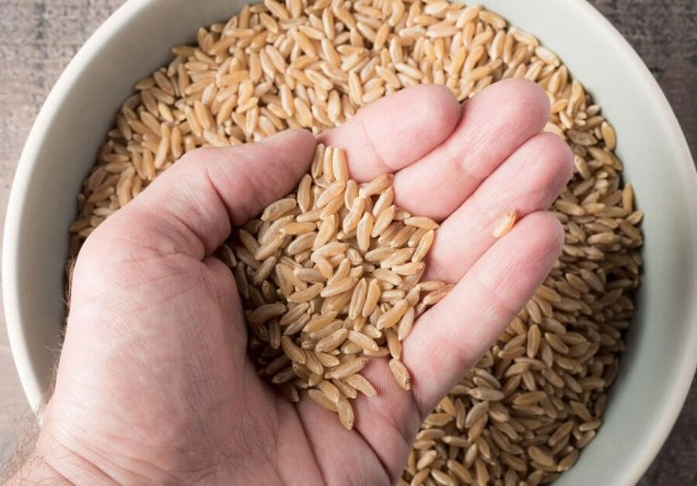 카무트 효소 자주 묻는 질문(FAQ)