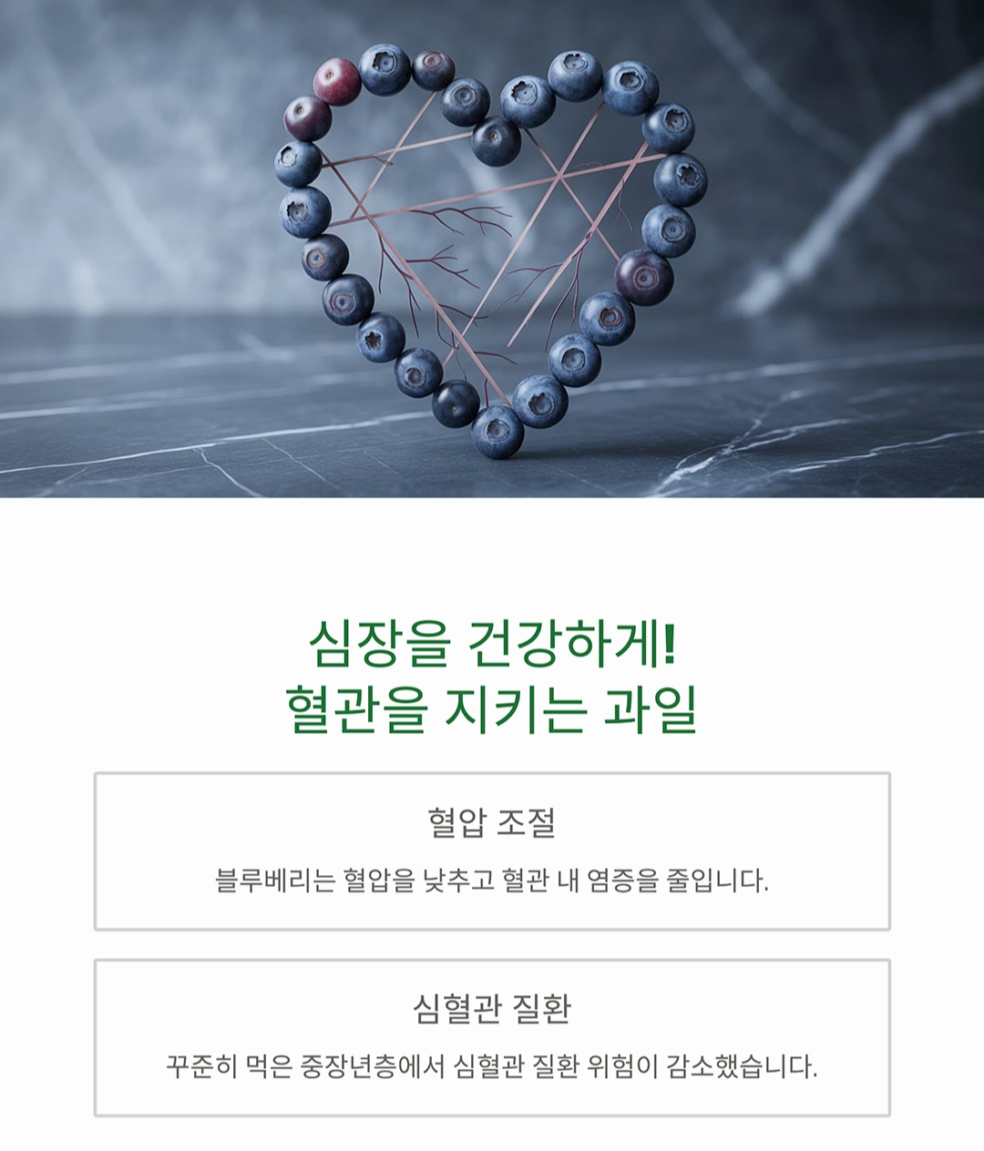 블루베리 효능, 시니어가 꼭 먹어야 하는 이유