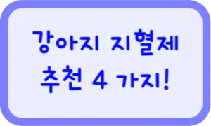 강아지 지혈제
