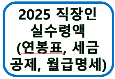 2025 직장인 실수령액 (연봉표, 세금공제, 월급명세) 제목 사진