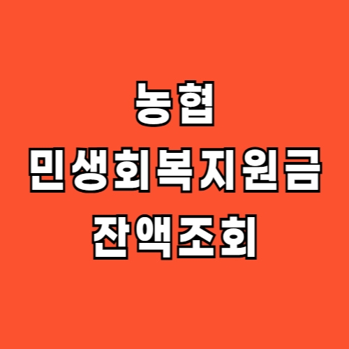 농협 민생지원금 잔액조회